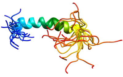 Erhöhter PECAM-1-Spiegel kann KHK-Risiko senken
