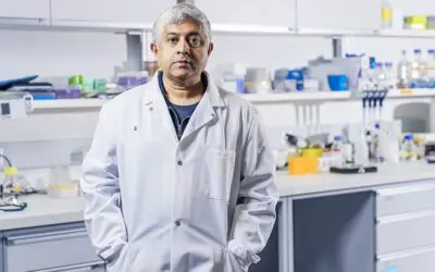 KI und Chromatin-Bildgebung können Brustkrebs kostengünstig einstufen