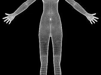 Mecklenburg-Vorpommern hat modernstes Gesetz zur medizinischen Datennutzung