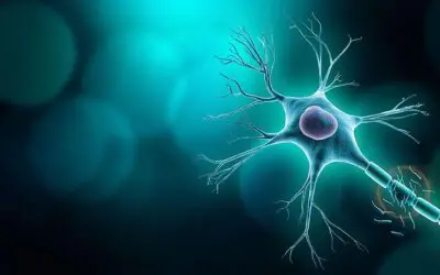 Neurofilament-Leichtketten-Bluttest bei Multipler Sklerose erhält CE-Zertifizierung