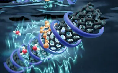 Wasser ist entscheidend für Fluoreszenz von Biosensoren