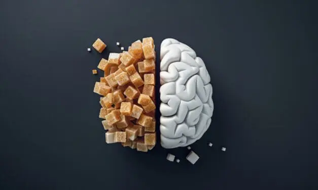 Zu viel Zucker schädigt das Gehirn