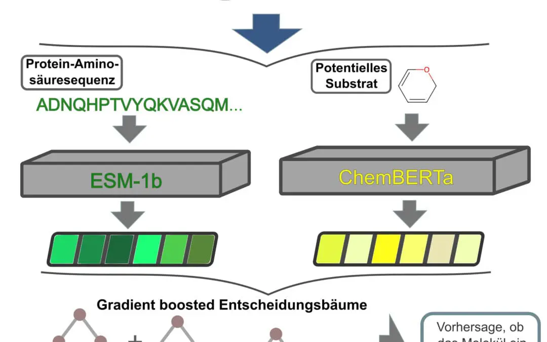 SPOT sagt passende Transporter-Substrat-Paare voraus
