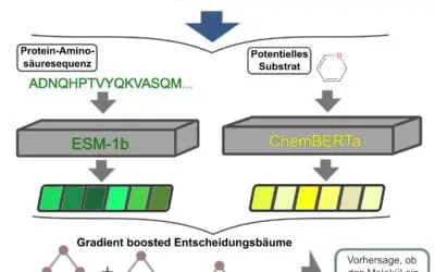 SPOT sagt passende Transporter-Substrat-Paare voraus