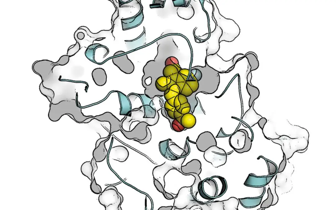 Neuer Wirkstoff gegen gastrointestinalen Stromatumor (GIST) 