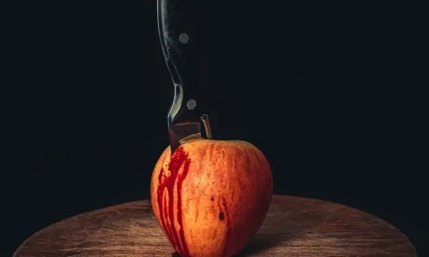 Molekulare Bremse in der Wundheilung entdeckt