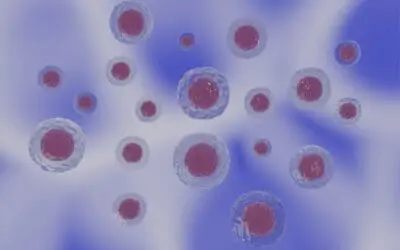 Verständnis um Protein-Recycling lässt auf neue Krebstherapien hoffen