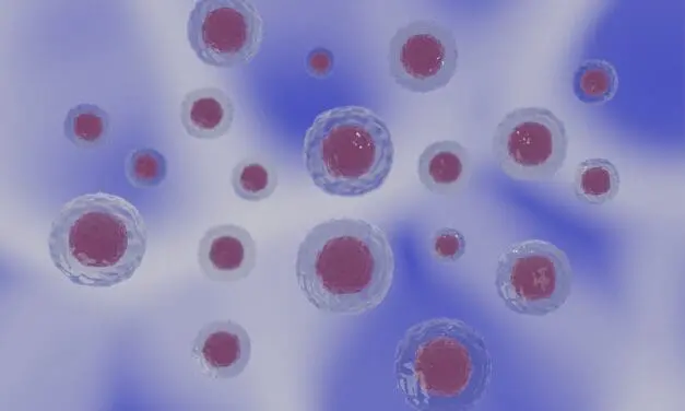 Verständnis um Protein-Recycling lässt auf neue Krebstherapien hoffen