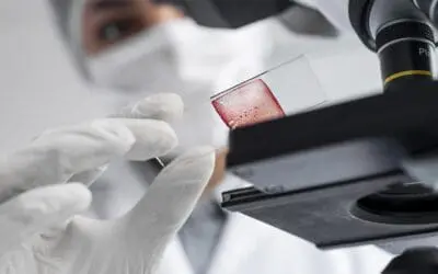 Zwei DKFZ Forscher mit Takeda Oncology Forschungspreis 2024 ausgezeichnet