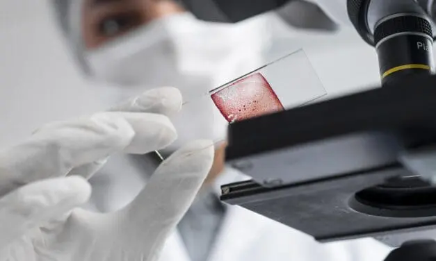 Zwei DKFZ Forscher mit Takeda Oncology Forschungspreis 2024 ausgezeichnet