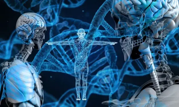 Spacial Omics: Neue Technologien revolutionieren die Biomarkerforschung