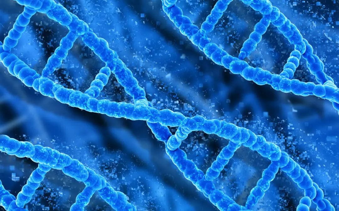 Rekombinante Proteine im Fokus: 8. Haller Konferenz bringt Industrie und Wissenschaft zusammen