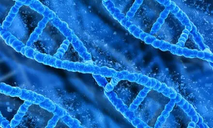 Lebererkrankungen monitoren mit digitalen Biomarkern