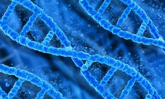 Registrierung und Abstract-Einreichung für die ISSCR 2026 in Montréal