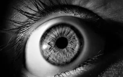 Fünf Strategien gegen den Grauen Star