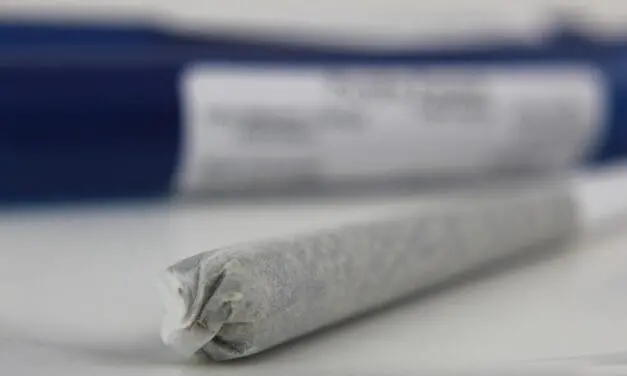 Psychosen: Cannabiskonsum verändert die DNA