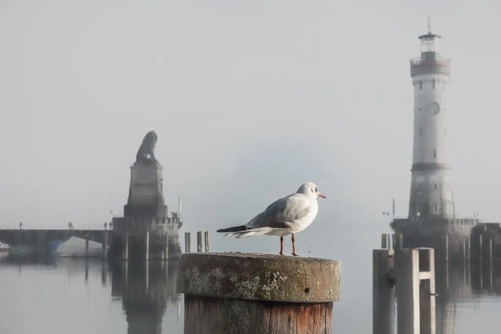 Die BLÄK stellte die 83. Jahresbilanz in Lindau vor. Symbolbild. Credits: Pixabay