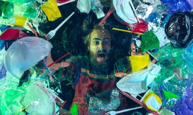 Weichmacher schaden dem Gehirn von Wirbeltieren