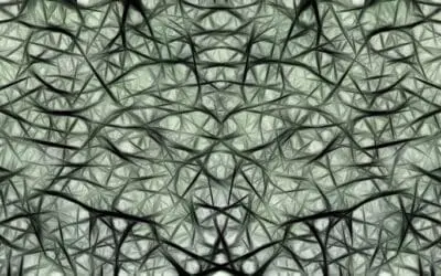 Erstmals Karte des sich entwickelnden menschlichen Gehirns erstellt