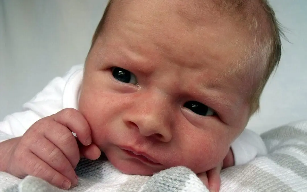 Beweis erbracht: Spezielle Tonwarnehmung ist angeboren