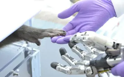 Handprothesen jetzt noch besser steuerbar