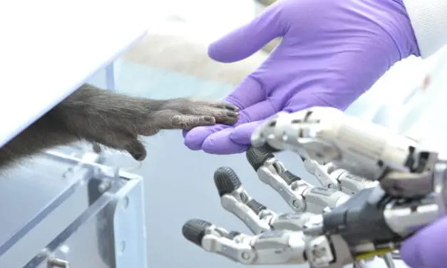 Handprothesen jetzt noch besser steuerbar