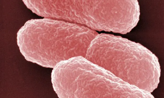 Antibiotikum Colistin: Fortschritt lässt auf weniger Nebenwirkungen hoffen