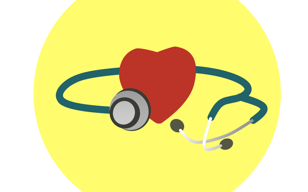 MHB erweitert Studienplätze und stärkt Gesundheitsversorgung in Brandenburg