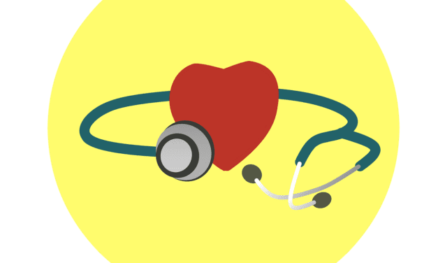 MHB erweitert Studienplätze und stärkt Gesundheitsversorgung in Brandenburg