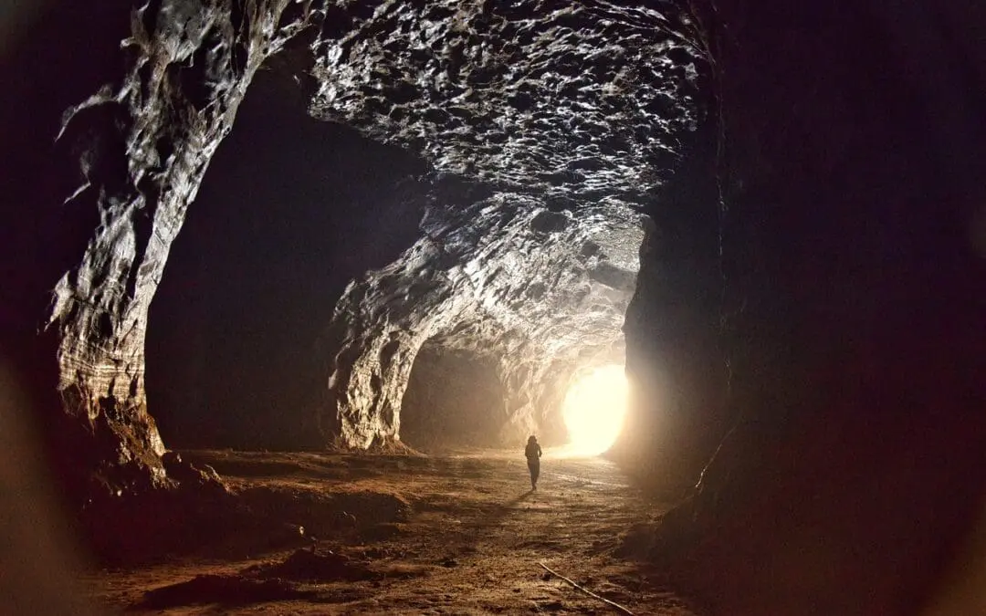 Pflanzenwirkstoff zeigt Erfolg gegen Asthma-Remodeling