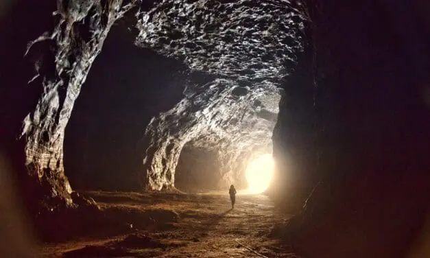 Pflanzenwirkstoff zeigt Erfolg gegen Asthma-Remodeling