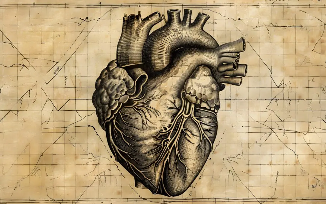 Herz- und Diabeteszentrum NRW bietet neuartige Ablationstechnologie an