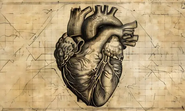 Herz- und Diabeteszentrum NRW bietet neuartige Ablationstechnologie an