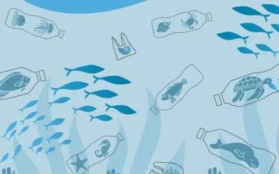 Multi-Omics Analysen erkennen Toxizität von Nanokunststoffen