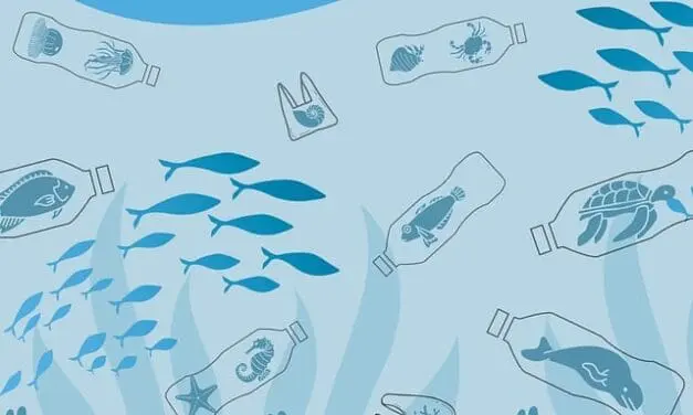 Multi-Omics Analysen erkennen Toxizität von Nanokunststoffen