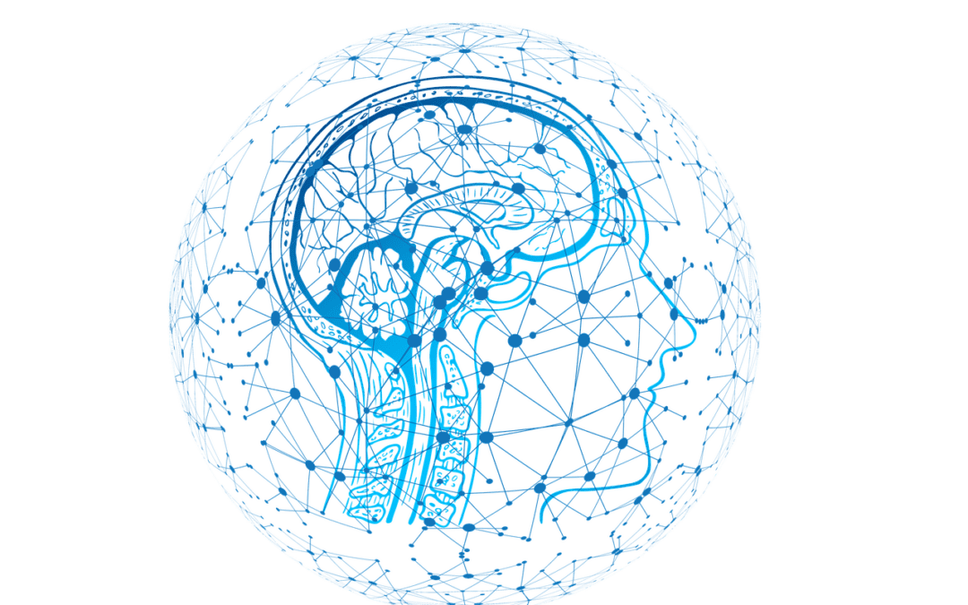 Liebeshormon Oxytocin fördert soziales Verhalten direkt im medialen präfrontalen Kortex