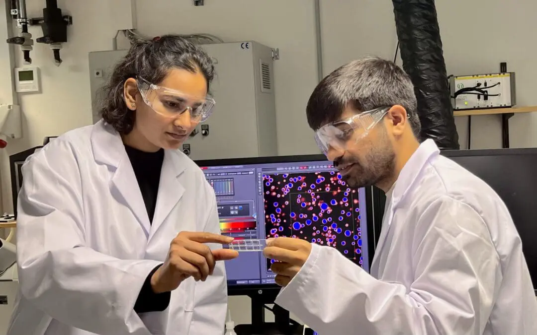 Erstmals Aufbrechen von Fibrillen gelungen