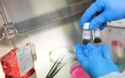 US11 soll Abstoßung transplantierter Spenderhaut unterdrücken