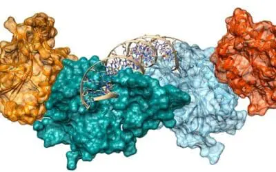 EpiSignal: Neues DFG-Graduiertenkolleg zur Untersuchung der zellulären Regulation