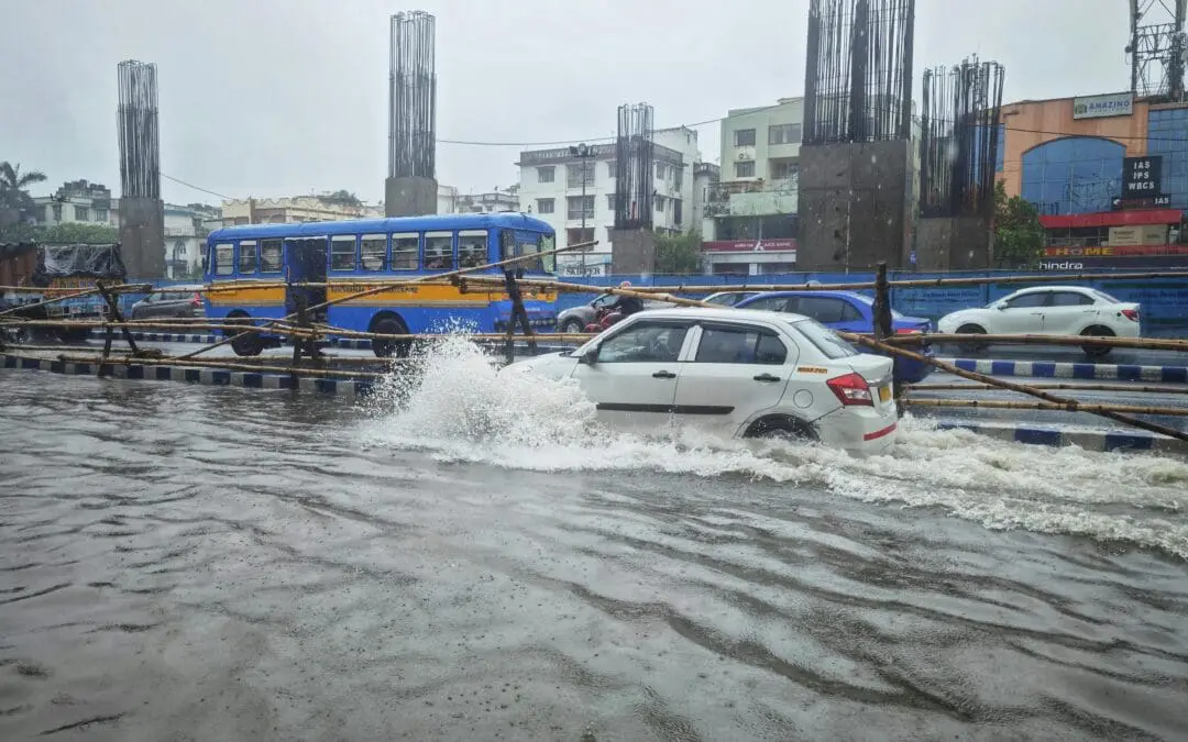Dengue-Rekordjahr 2024: Zu 19 Prozent ist der Klimawandel Schuld