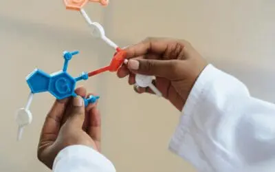 Förderrichtlinie „Vielfalt verbindet“ stärkt Diversität in der Wissenschaft