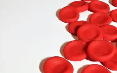 Therapie von Blutkrebs: Neue Erkenntnisse um Apoptose machen Hoffnung