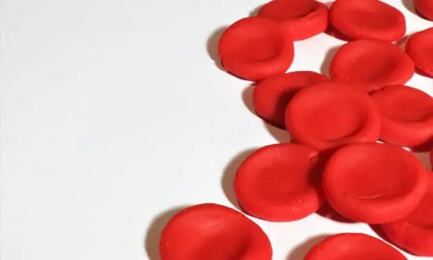 Therapie von Blutkrebs: Neue Erkenntnisse um Apoptose machen Hoffnung