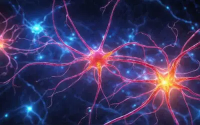 Neurofilament-Leichtketten: Ein Biomarker für neuroaxonale Schäden