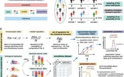 Neue Methode für die Analyse von Mikrobiom-Interaktionen präsentiert