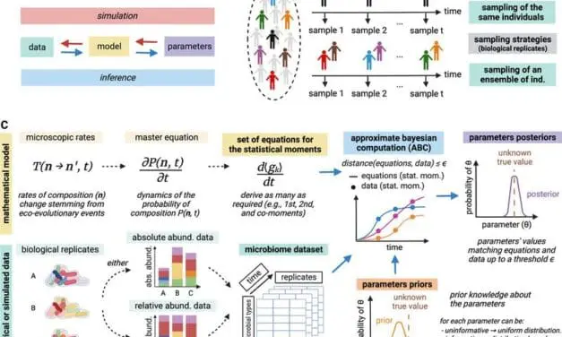 Neue Methode für die Analyse von Mikrobiom-Interaktionen präsentiert