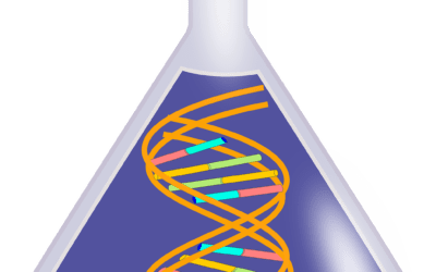 Universität Hamburg verteidigt Spitzenplatz im Nachhaltigkeitsranking