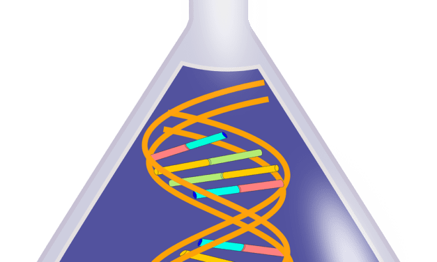 DKLM 2025 – Internationale Plattform für Innovation und Vernetzung in der Labormedizin