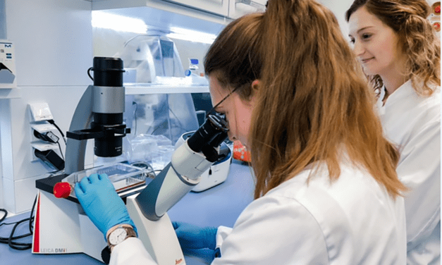 Maligne rhabdoide Tumore: Fortschritte zur Risikoeinschätzung und Behandlung erzielt