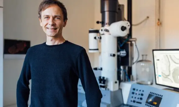 Europäischer Forschungsrat vergibt hochdotierten Preis an Leipziger Neuro-Wissenschaftler